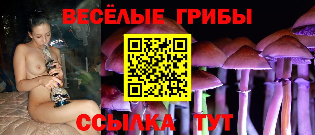 Иваново  Псилоцибиновые грибы Magic Shrooms  закладка  Вход с VPN  Галлюциногенные грибы Cubensis 