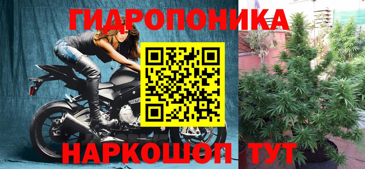 МАРИХУАНА гибрид Иваново